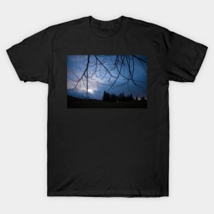 Twilight Forest T-Shirt